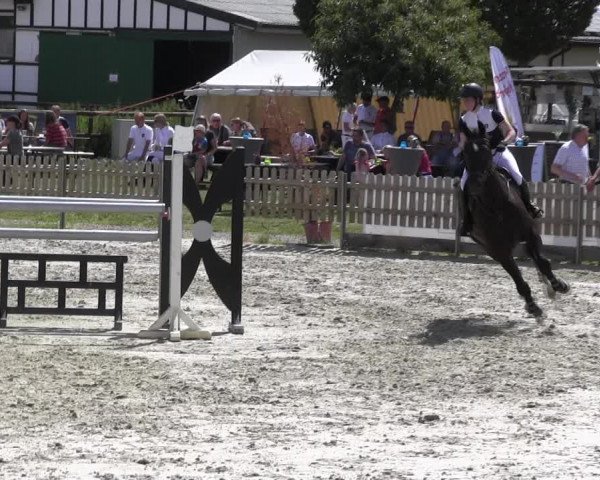 Reitturnier Schülp / Rendsburg 2018