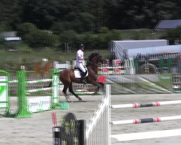 Reitturnier Schülp / Rendsburg 2018