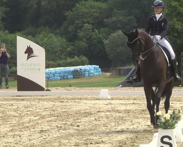 CDI**** Leudelange (LUX) 2018
