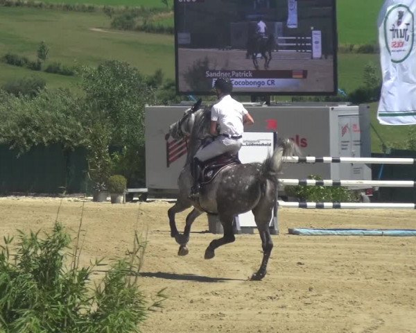 Reitturnier Lindlar-Süttenbach 2018
