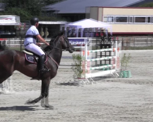 Reitturnier Schülp / Rendsburg 2018