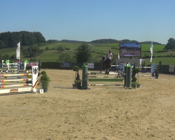 Reitturnier Lindlar-Süttenbach 2018