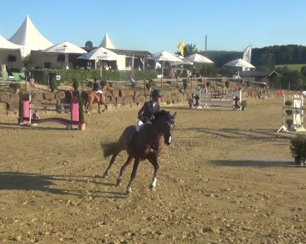 Reitturnier Lindlar-Süttenbach 2018