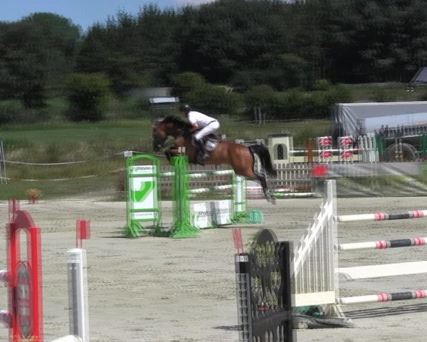 Reitturnier Schülp / Rendsburg 2018