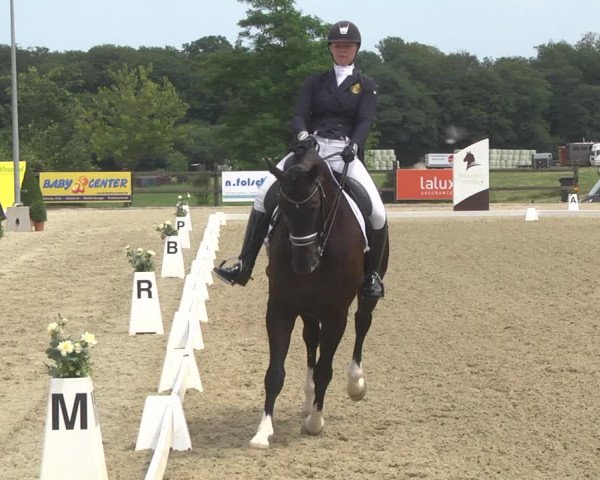 CDI**** Leudelange (LUX) 2018