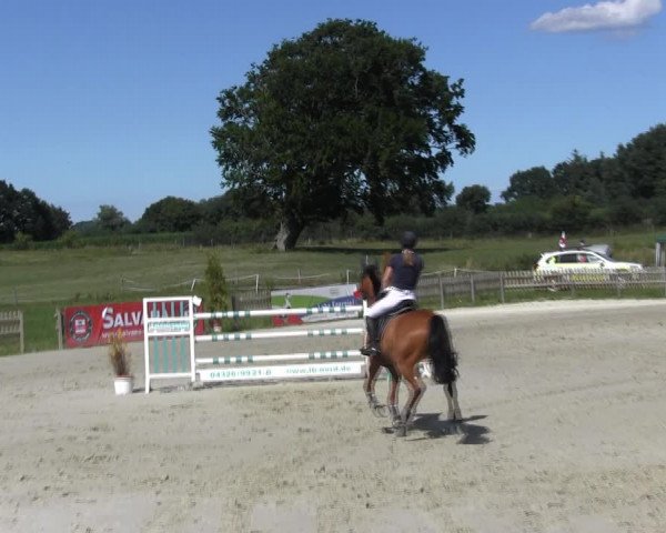 Reitturnier Schülp / Rendsburg 2018
