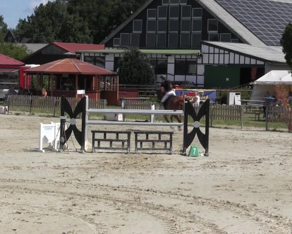 Reitturnier Schülp / Rendsburg 2018
