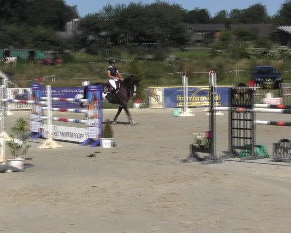 Reitturnier Schülp / Rendsburg 2018