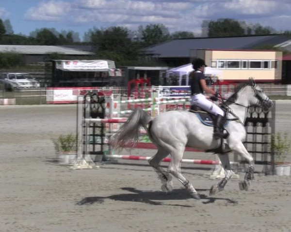 Reitturnier Schülp / Rendsburg 2018