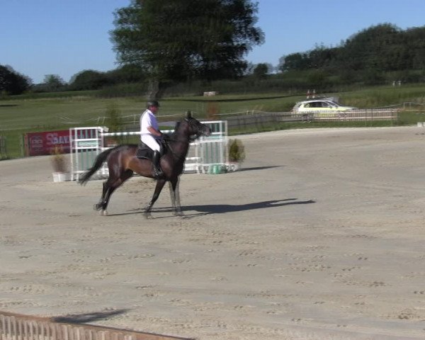 Reitturnier Schülp / Rendsburg 2018