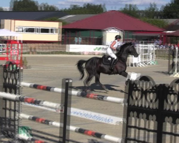 Reitturnier Schülp / Rendsburg 2018