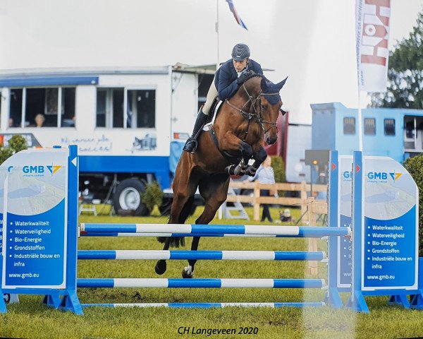Springpferd Lex 90 (KWPN (Niederländisches Warmblut), 2016, von Golddigger)