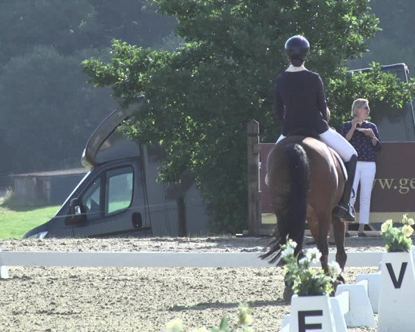 CDI**** Leudelange (LUX) 2018