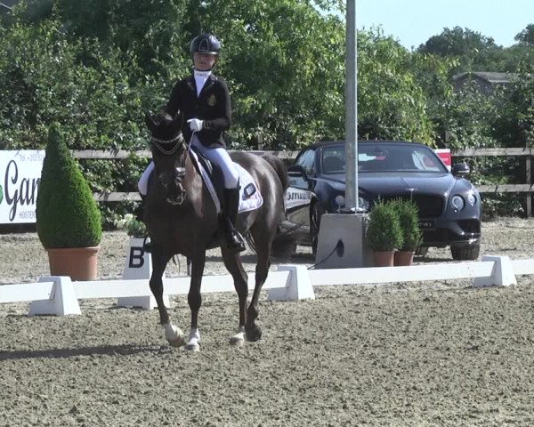 CDI**** Leudelange (LUX) 2018