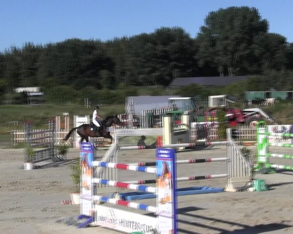 Reitturnier Schülp / Rendsburg 2018
