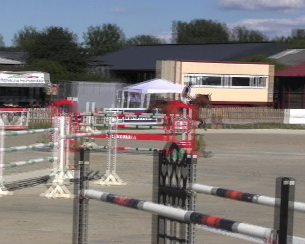Reitturnier Schülp / Rendsburg 2018