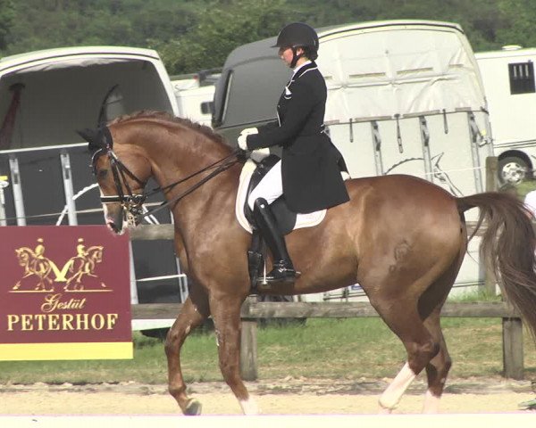 CDI**** Leudelange (LUX) 2018