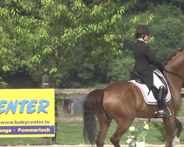 CDI**** Leudelange (LUX) 2018