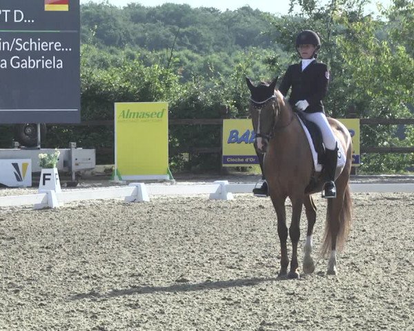 CDI**** Leudelange (LUX) 2018