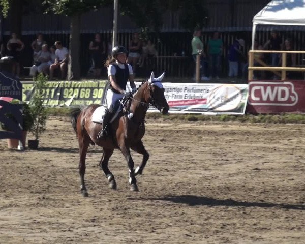 Erkrather Classics 2018