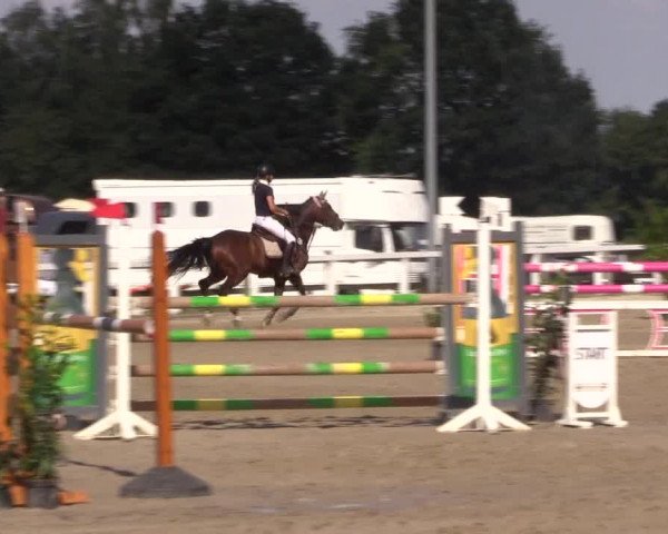 Reitturnier Melle-Ostenfelde 2018