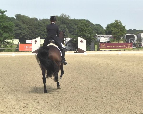 CDI**** Leudelange (LUX) 2018