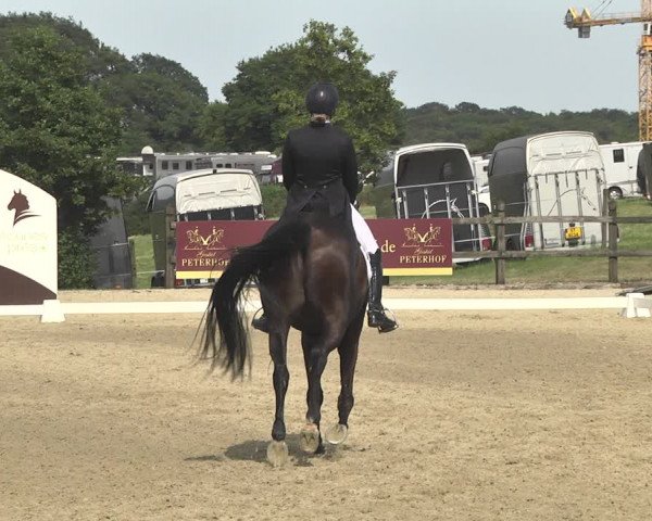 CDI**** Leudelange (LUX) 2018