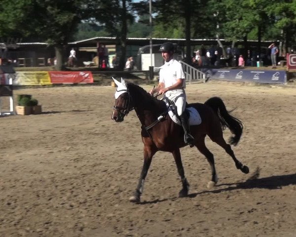 Erkrather Classics 2018