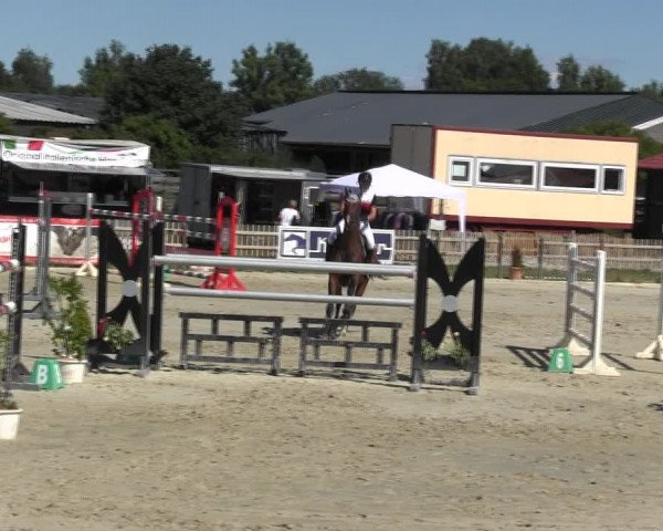 Reitturnier Schülp / Rendsburg 2018