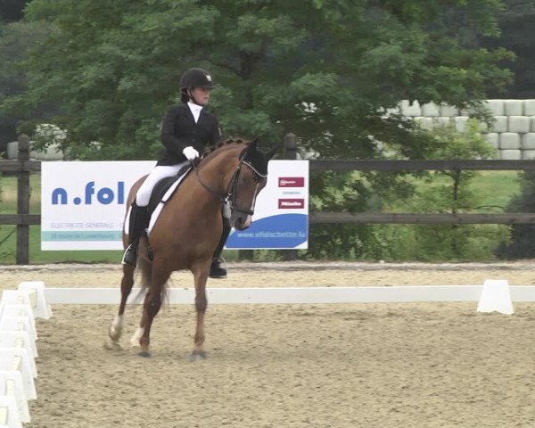 CDI**** Leudelange (LUX) 2018