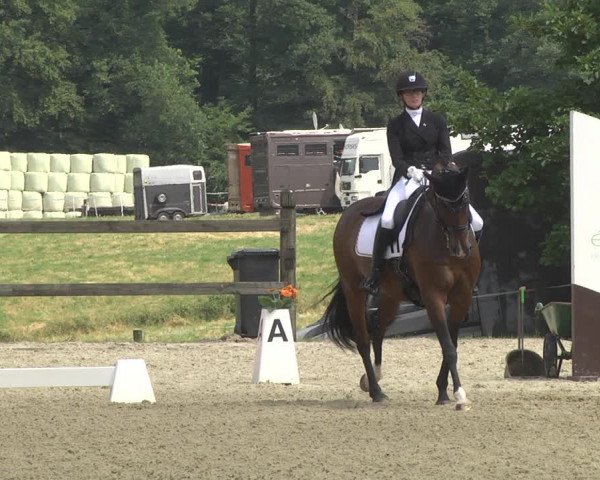 CDI**** Leudelange (LUX) 2018