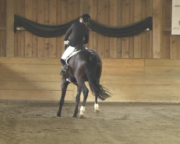 Reitturnier Pellheim-Gerblhof 2018