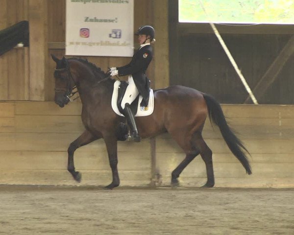 Reitturnier Pellheim-Gerblhof 2018