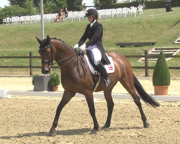 CDI**** Leudelange (LUX) 2018