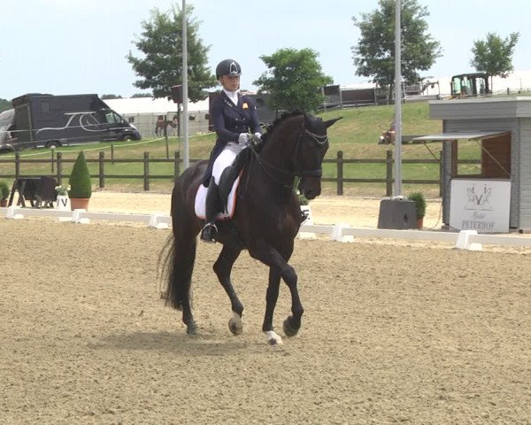 CDI**** Leudelange (LUX) 2018