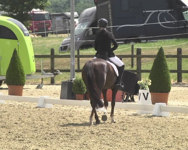 CDI**** Leudelange (LUX) 2018