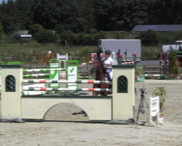Reitturnier Schülp / Rendsburg 2018