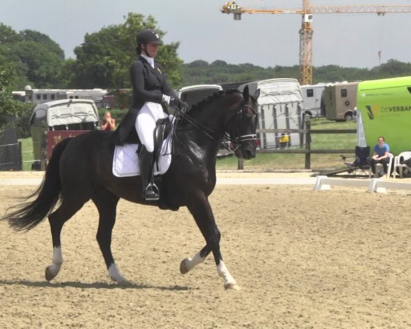 CDI**** Leudelange (LUX) 2018