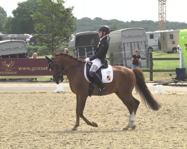 CDI**** Leudelange (LUX) 2018