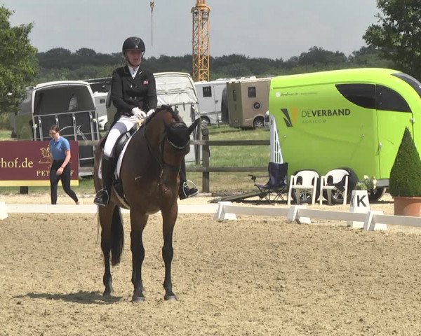 CDI**** Leudelange (LUX) 2018