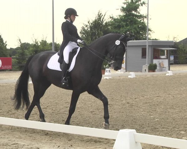 CDI**** Leudelange (LUX) 2018