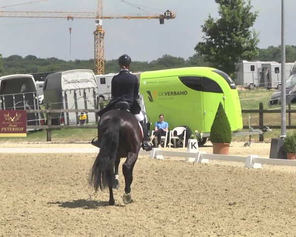 CDI**** Leudelange (LUX) 2018