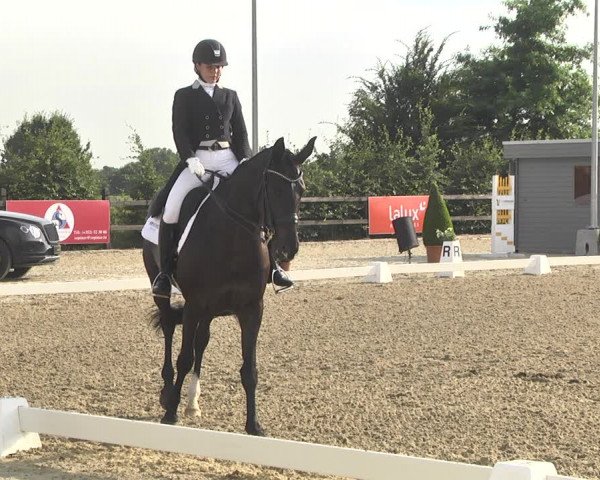 CDI**** Leudelange (LUX) 2018