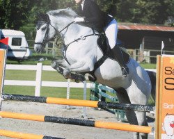 jumper Camasco (German Sport Horse, 2010, from Camax L)