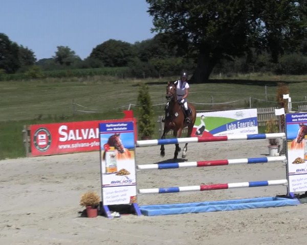 Reitturnier Schülp / Rendsburg 2018