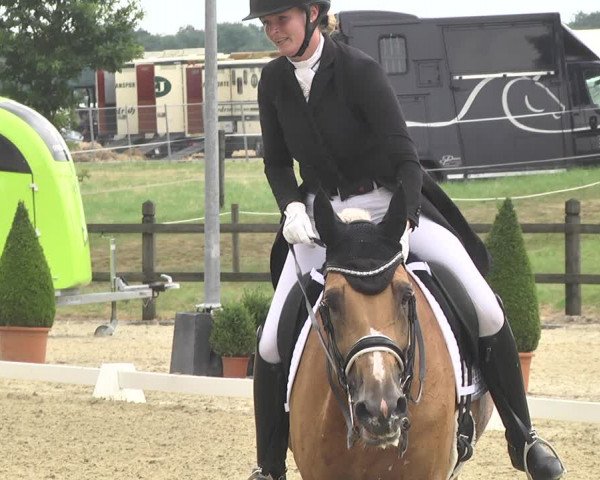 CDI**** Leudelange (LUX) 2018