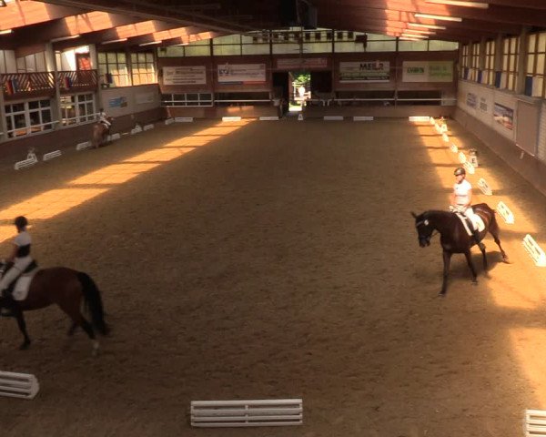 Reitturnier Delbrück-Ostenland 2018