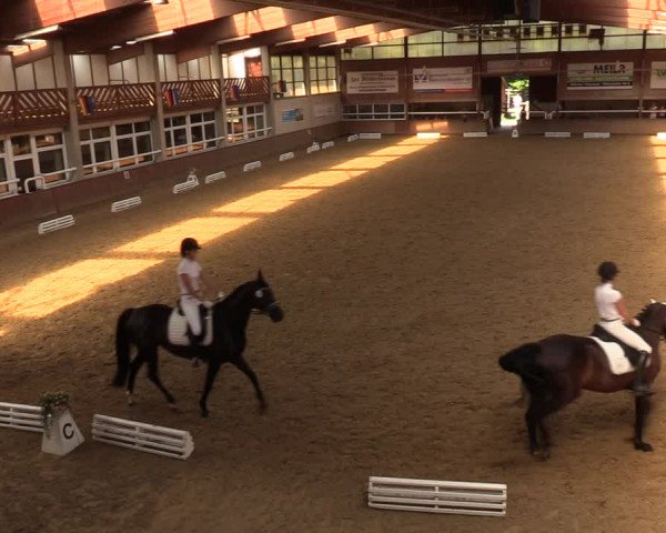 Reitturnier Delbrück-Ostenland 2018