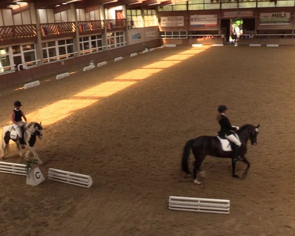 Reitturnier Delbrück-Ostenland 2018