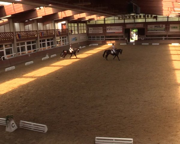 Reitturnier Delbrück-Ostenland 2018